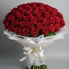 Букет 101 Красная роза Блэк Мэджик #REPLACE_PRED# Курджиново