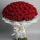 Букет 101 Красная роза Блэк Мэджик в Курджиново