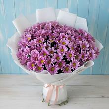 Букет цветов из:  Хризантемы #REPLACE_PRED# Курджиново