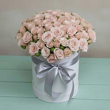 Цветочная композиция из Розы в шляпной коробке #REPLACE_PRED# Курджиново