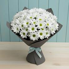 Букет цветов из:  Хризантемы #REPLACE_PRED# Курджиново
