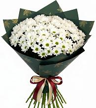 Букет цветов из:  Хризантемы #REPLACE_PRED# Курджиново