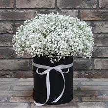 Цветочная композиция из Гипсофила в шляпной коробке в Курджиново