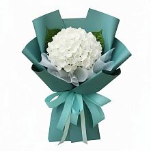 Букет цветов из:  Гортензия #REPLACE_PRED# Курджиново
